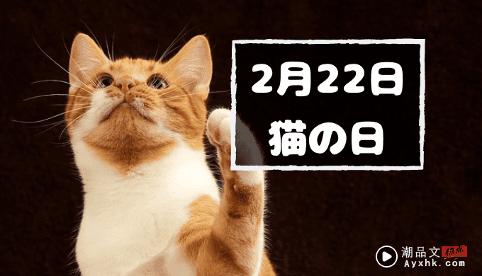 科普 I 2月22日是日本“猫之日”，原因是222的日文发音像猫咪叫声？ 更多热点 图1张